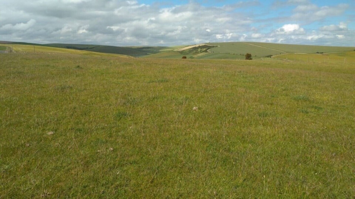 Rottingdean Cottage | Stag Cottage Rottingdean South Downs Great Walks
