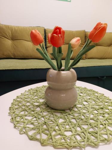 Pozarevac Apartment | Stancicmilena