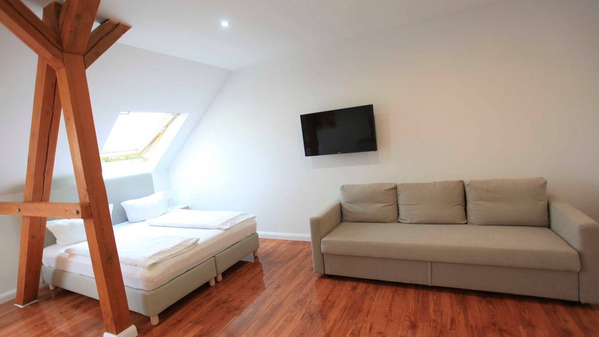 Volkmarsdorf Apartment | Standard Apartment - Zollikof Aparts - Sauna & Studio Apartments