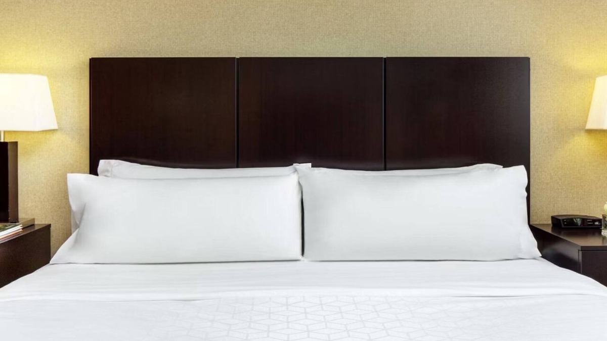 Ocotillo House | Standard King at Holiday Inn Phoenix Chandler - Outdoor Pool & Pets are Welcome!
