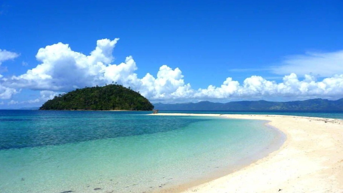 Basdiot Cottage | Standard Room Parrot Resort 4 - Moalboal