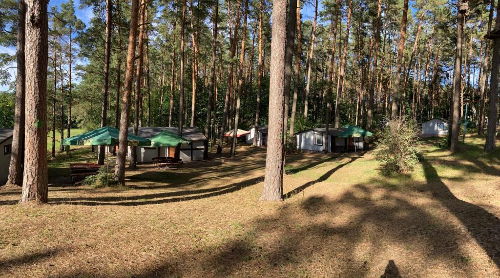 Spychowo Resort | Stanica Wodna Spychowo