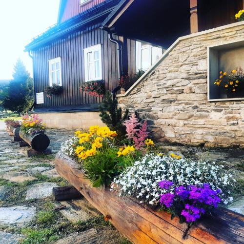 Mala Upa House | Stará škola