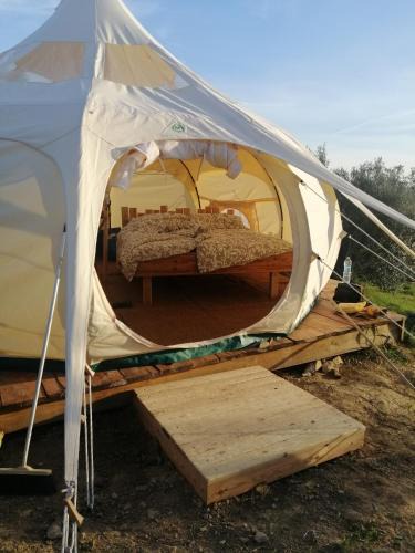 Roccastrada Other | Stargazer - Glamping Maremma, Toscana