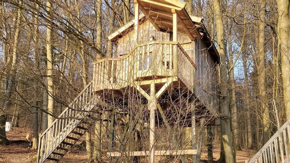 Solling Apartment | Stargazer tree house, living/sleeping room - Baumhaushotel Solling