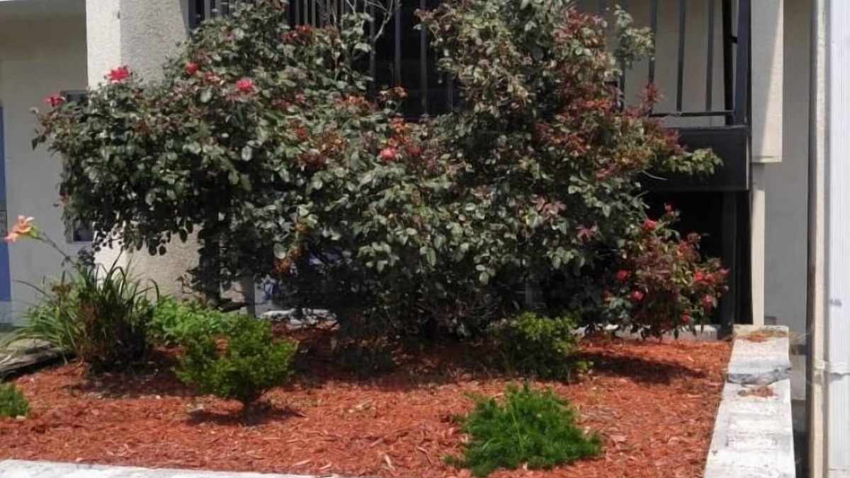 Fredericksburg Hotel | Stay 4 Less