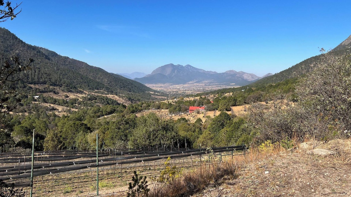 Arteaga House | Stay in an RV inside a Vineyard. Unique experience
