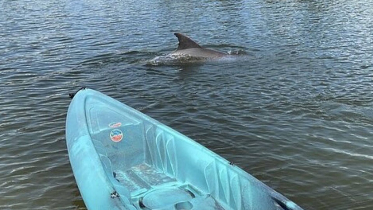 Cocoa Isles Country Club Condo | Stay Where Dolphins Play,Water Front