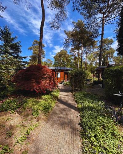 Municipality of Elburg House | StayatSas Tiny House Pippa in de bossen op de Veluwe