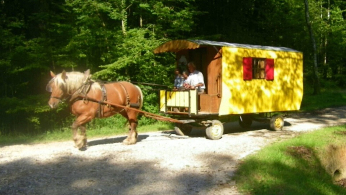 Ecleux Other | STAYS IN ROULOTTE WITH HORSE "DISCOVERY OF THE VAL OF LOVE" AND ROOMS D HOTES