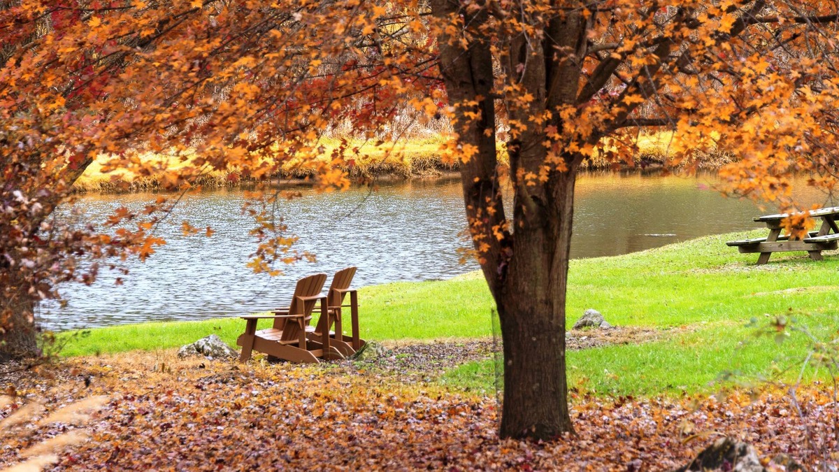 Steeles Tavern Bed & Breakfast | Steeles Tavern Manor