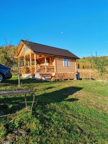 Feleacu Villa | Stefana's Tiny House Nature Retreat