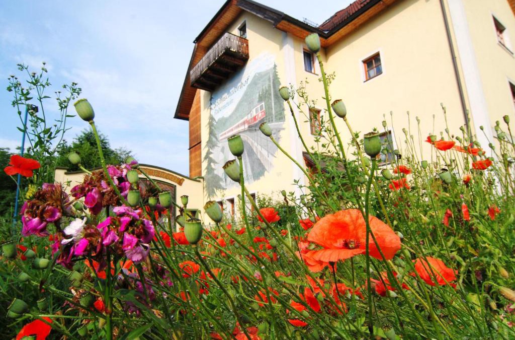 Rabenstein an der Pielach Hotel | Steinschalerhof