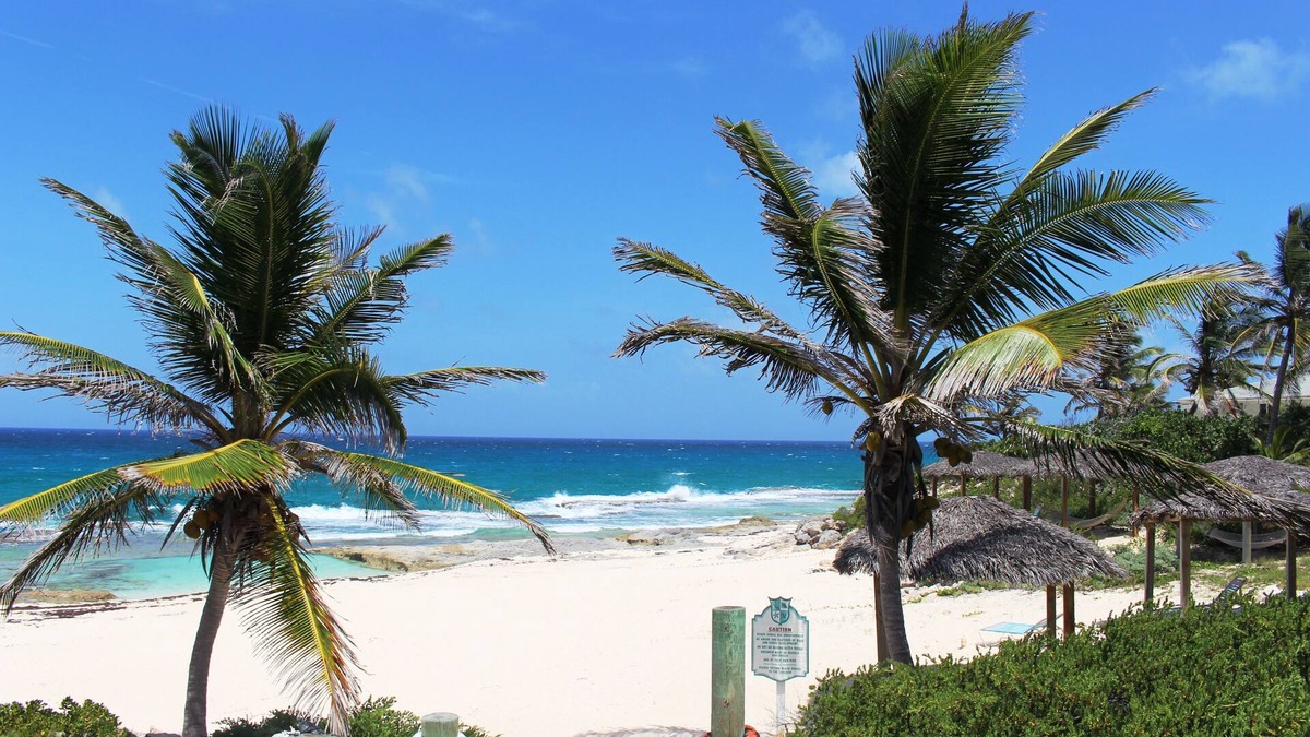 Stella Maris Resort | Stella Maris Resort Club