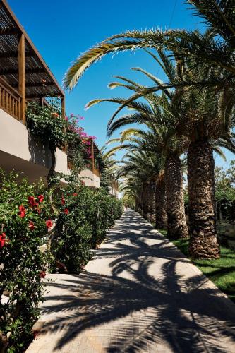 Aposelemis Resort | Stella Village Seaside Hotel