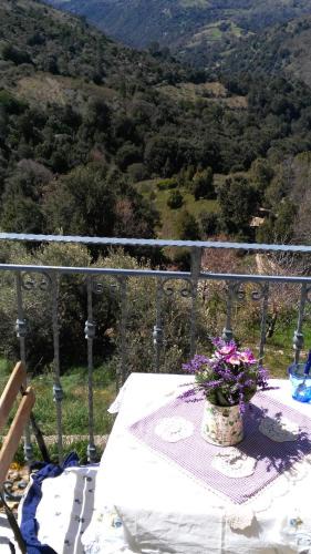 Seulo Apartment | Stellaria casa vacanze in montagna panorama stupendo Sardegna