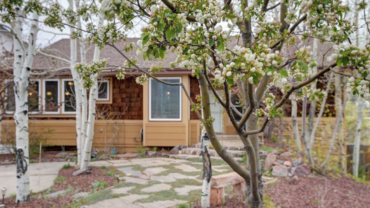 Palmer Lake House | Step inside our carefully crafted Oasis