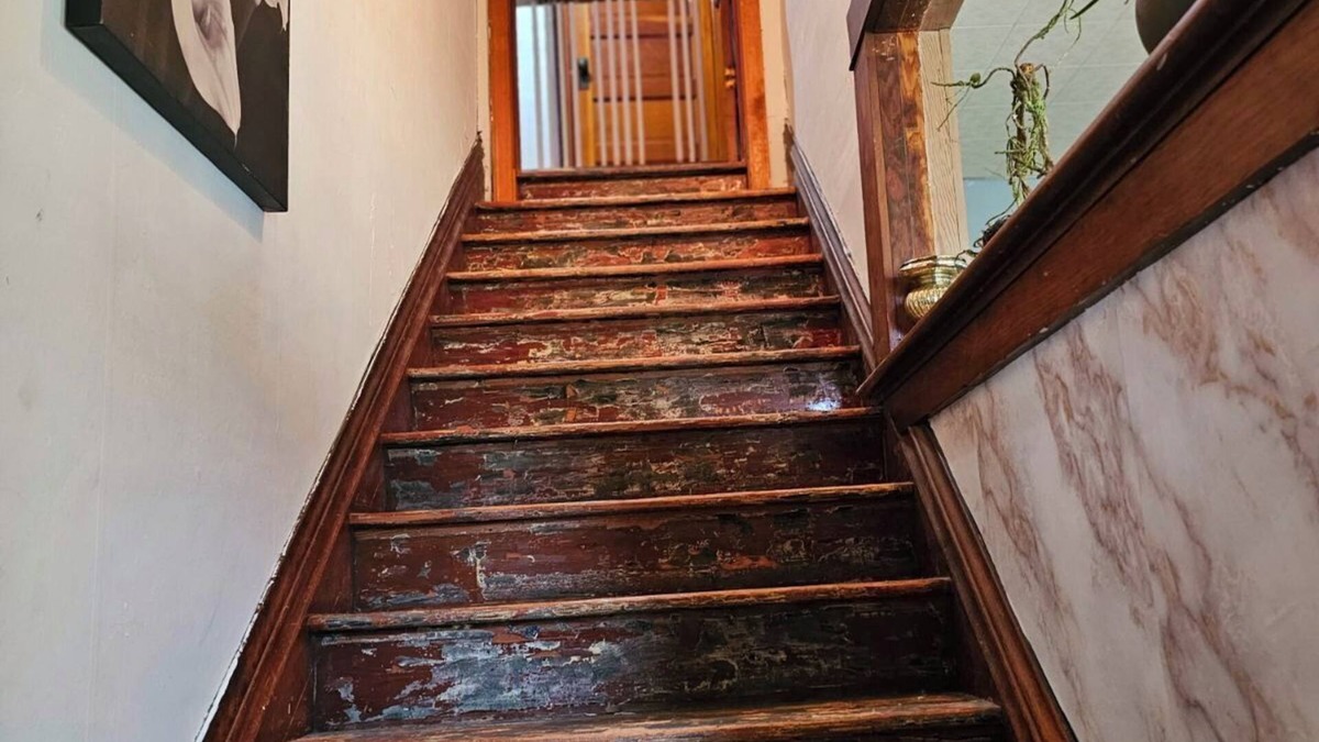 Bowdle House | "Step right into nature's theater with our VRBO home as your backdrop!"