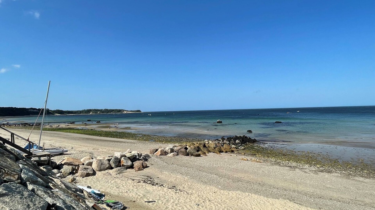 Cedar Bushes Cottage | Steps from the beach, charming cottage Plymouth Ma