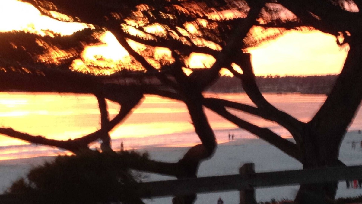 Carmel Point Cottage | Steps To Carmel Beach, in the golden rectangle. The perfect location!
