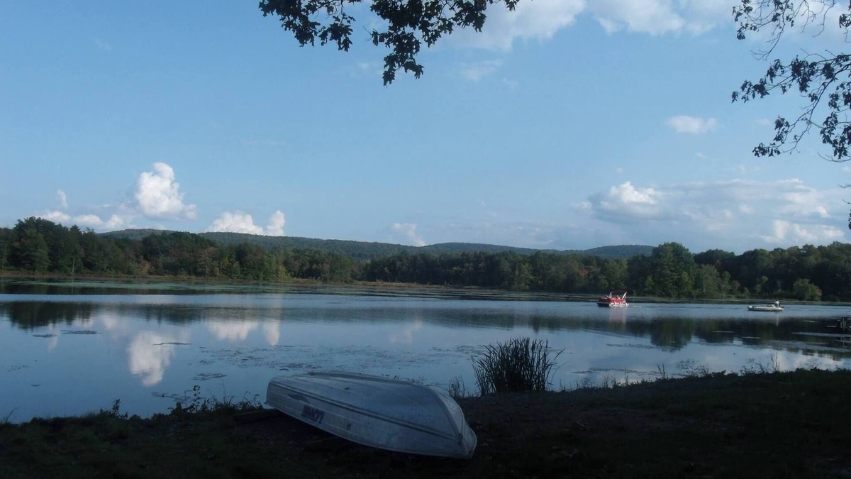 Bradford Cabin | Stevens Lane New Log Cabin - Lamoka Lake - just steps from the water's edge.
