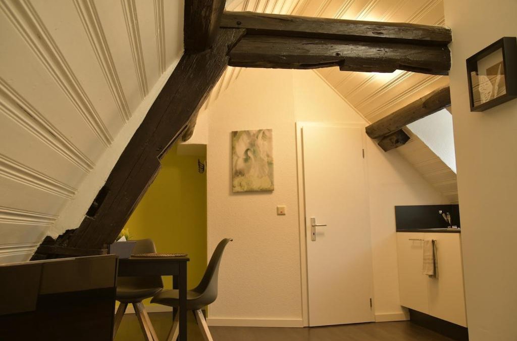 Hoehr-Grenzhausen Apartment | Stilvolle Altbauwohnung, Apartment Träum & schön