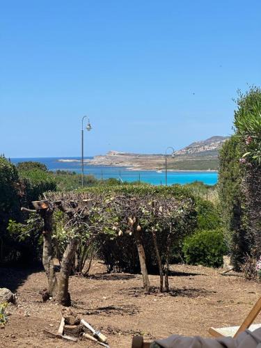 Stintino Apartment | Stintino vista mare l'ancora