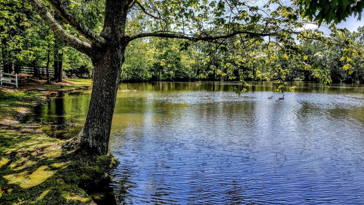 Stockbridge Bed & Breakfast | Stockbridge Lakes Bed & Breakfast