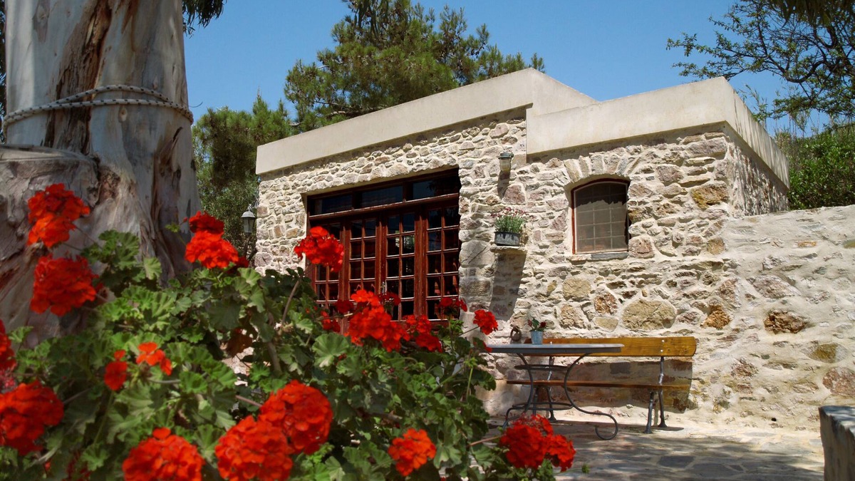 Syros Cottage | Stone-built studio under two Eucalyptus trees.