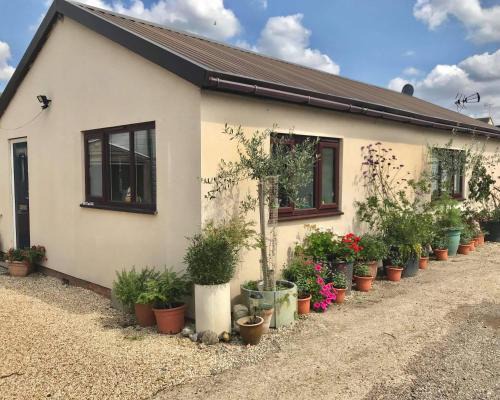 Bumble's Green House | Stone Cottage