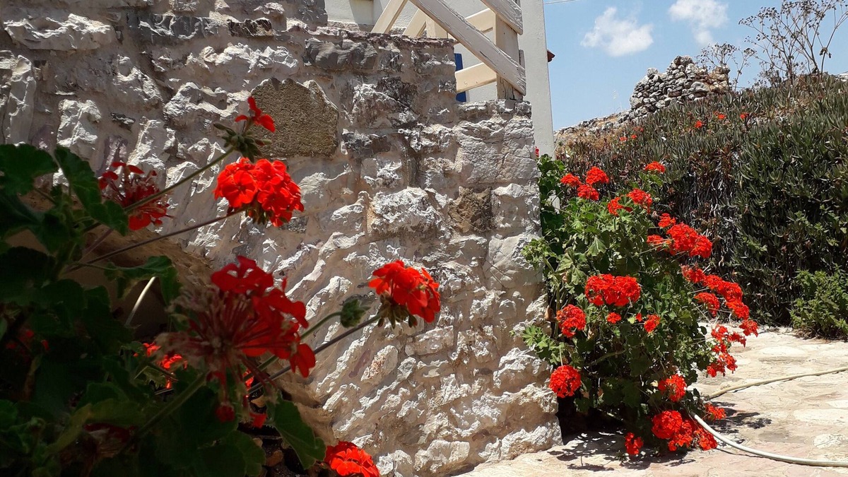 Kithira House | STONE HOUSE