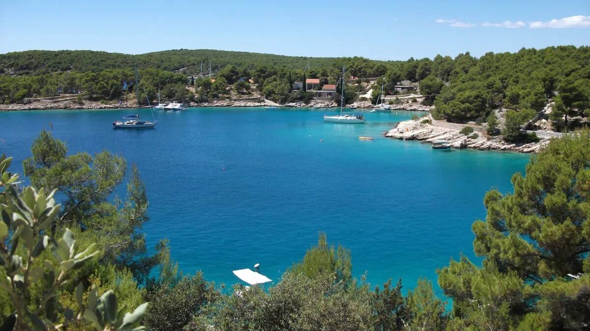 Milna (Brac) House | Stone house on Brac with amazing garden and sea view