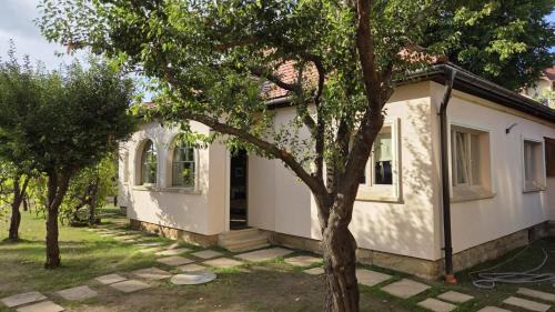 Targu Secuiesc Apartment | Stone House