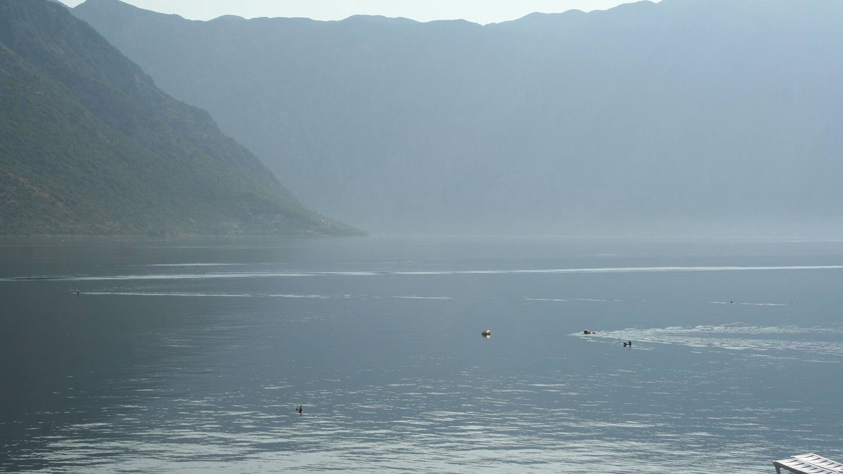 Kotor Municipality Apartment | Stone House - Sea View - Apartment Miho