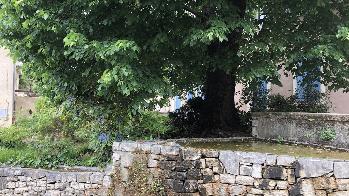 Montelier House | Stone village house