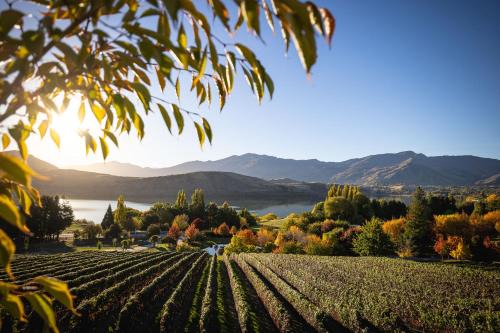 Lake Hayes Hotel | Stoneridge Estate