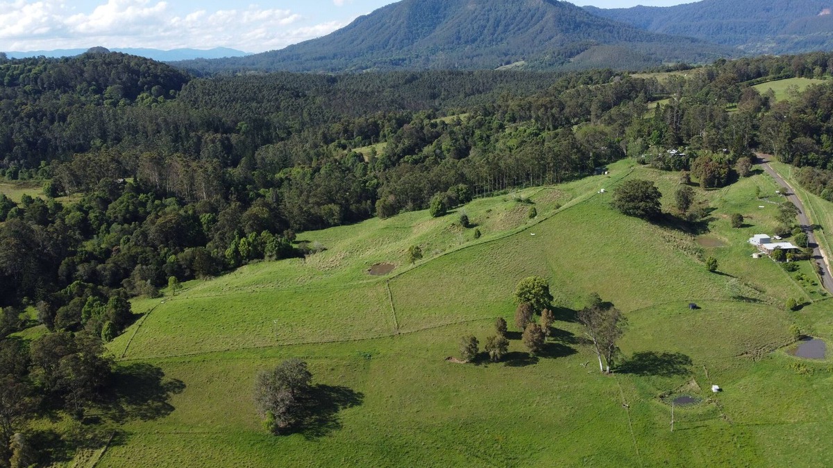 Nimbin Cabin | Stoney Chute Eco-Cabin 1 : accessible, quiet retreat 5km from Nimbin.