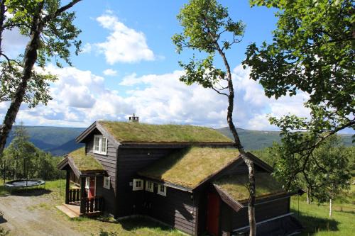 Al House | Storemyr by Norgesbooking - cabin with amazing view