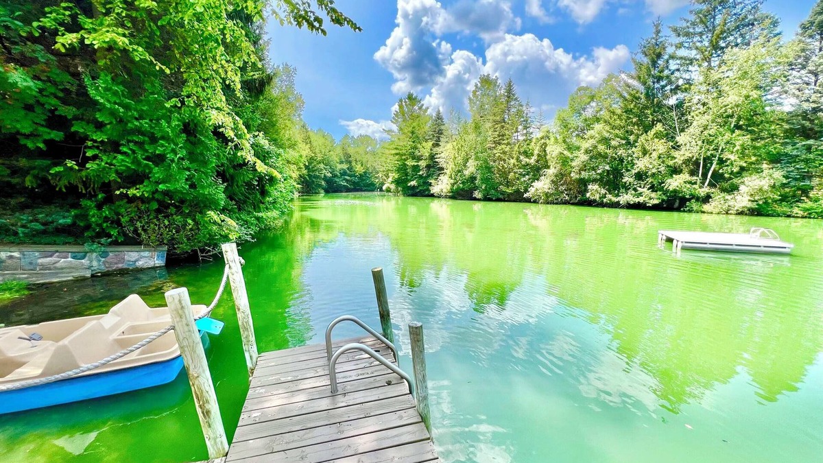 Wheeler House | Storybook Cottage on the Pond! Sleeps 8!