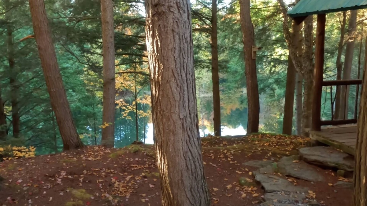 Moscow Cottage | Stowe Adventure! Private Forest & Lake, Comfortable, 5 mins to town