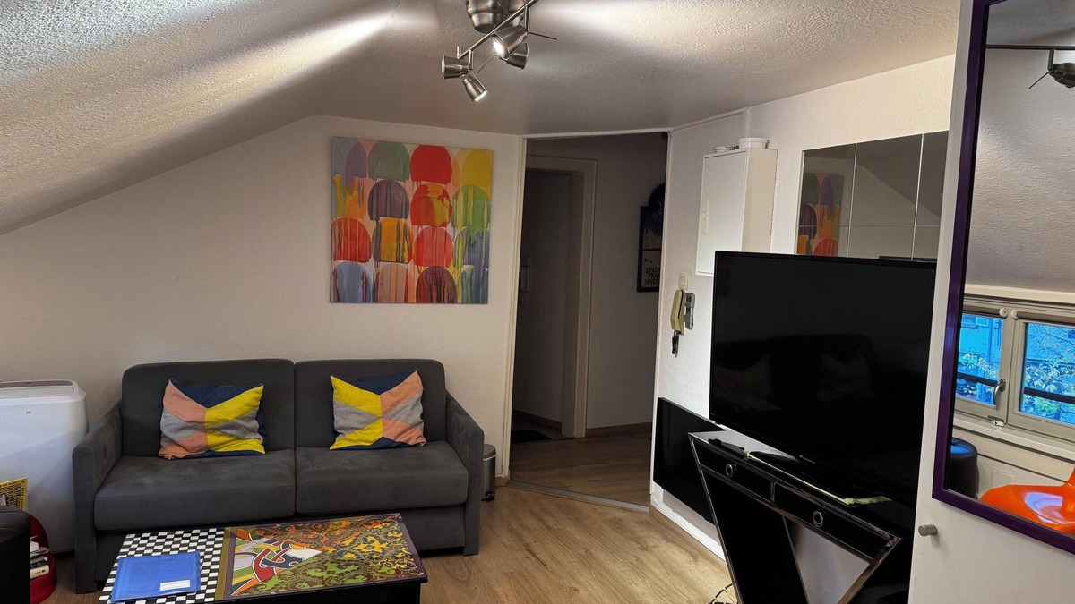 Petite-France Apartment | STRASBOURG Centre Beau F3 Petite France Centre historique 3* with parking included