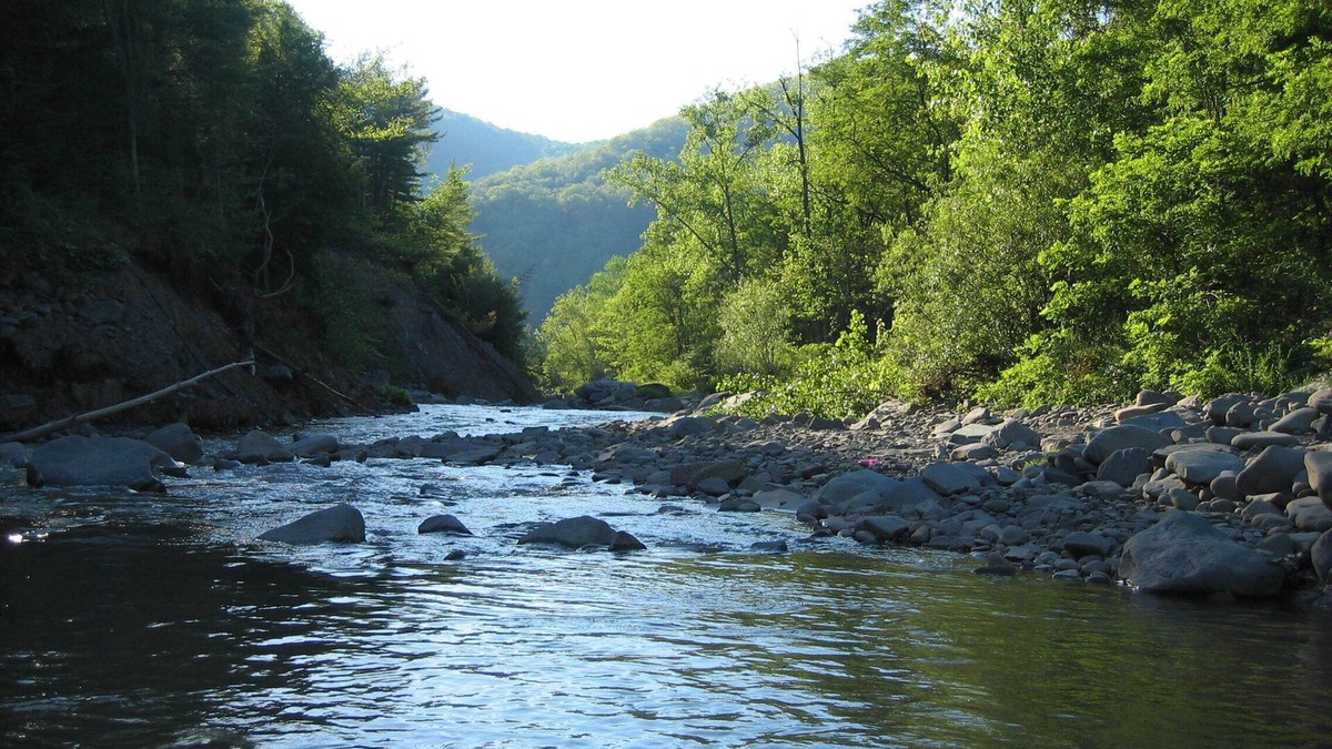 Chichester Apartment | Streamside Catskill Mountain House