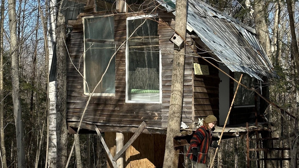 Dorchester Other | Streeter Mountain Farm