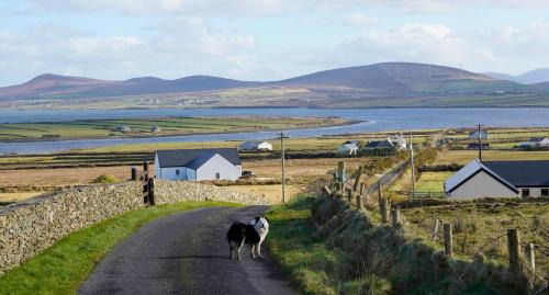 Belmullet Apartment | Stripe Bay