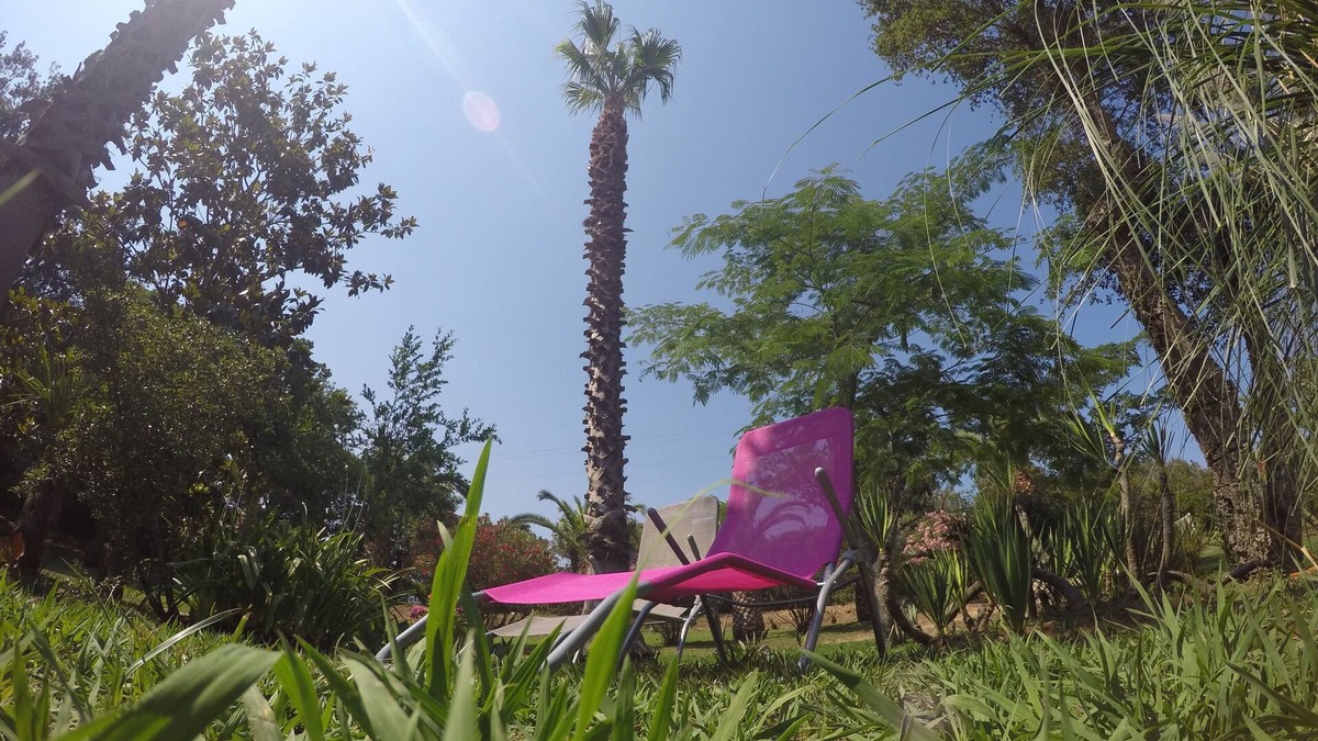 Santa-Maria-Poggio Apartment | Studio 1km from the sea and river