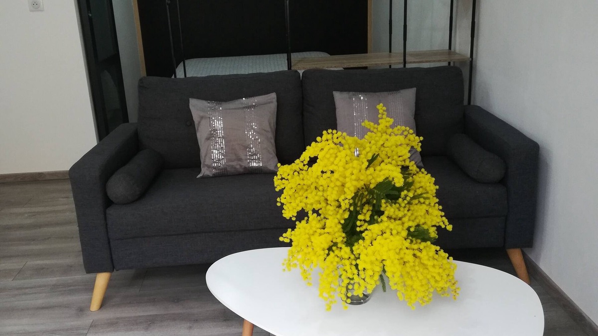 Usclas-d'Herault Apartment | Studio 2 minutes from the A75 motorway