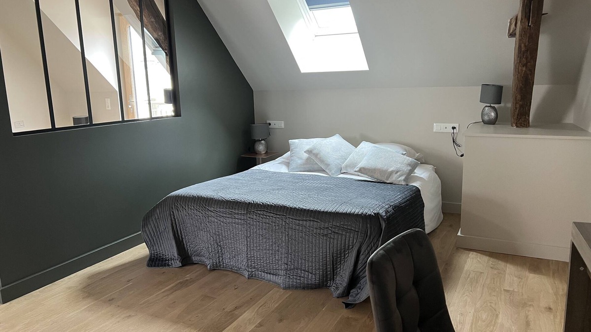 Prehy Apartment | Studio 2-Studio-Suite-Ensuite with Bath-Vineyard view