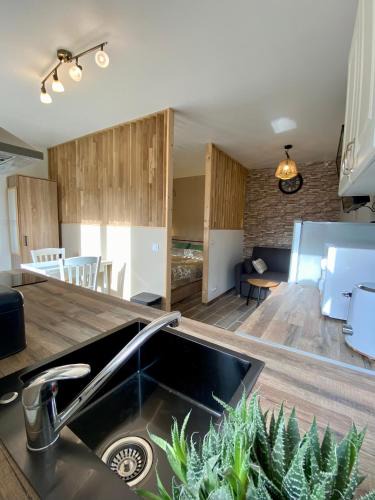 Suze-la-Rousse Apartment | Studio 263
