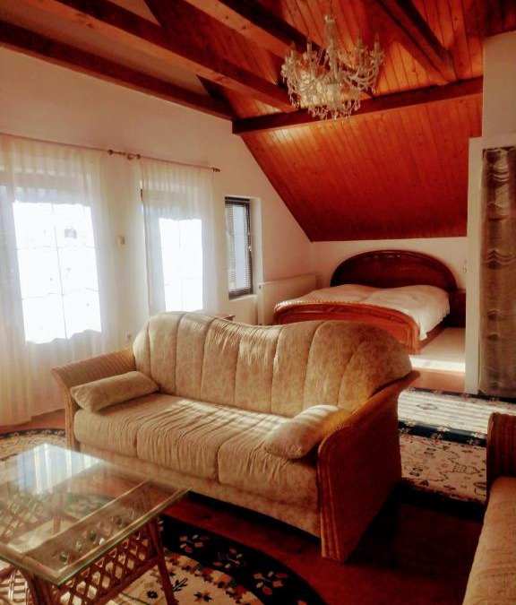 Porumbacu de Jos Apartment | Studio 45 sqm with mountain view