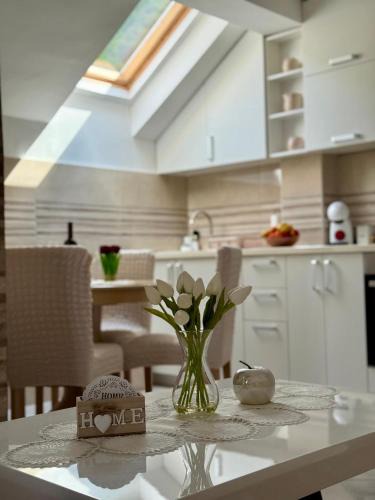 Pluzine Apartment | Studio Apartman Gracia